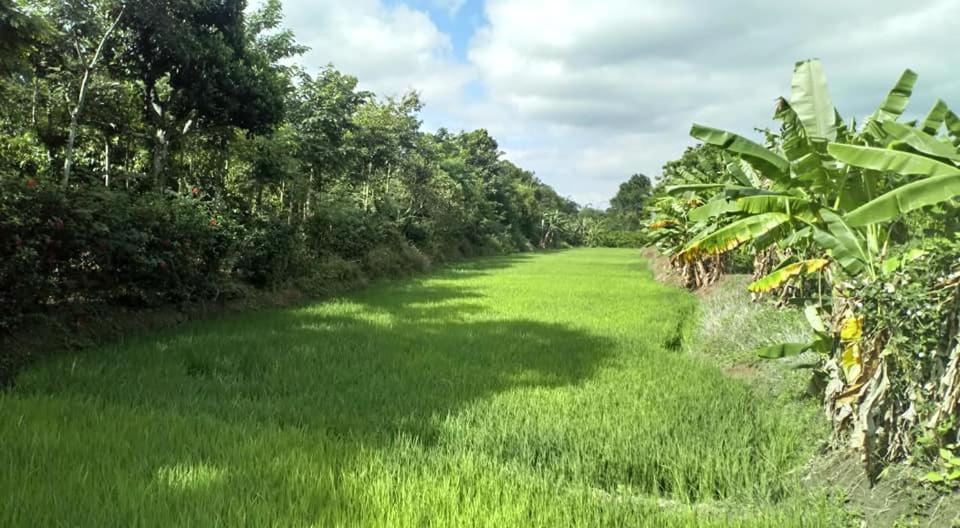 Happy Homestay Buon Ma Thuot Exterior photo